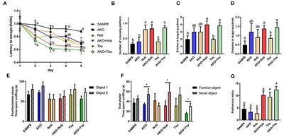 Antarctic krill oil exhibited synergistic effects with nobiletin and theanine in ameliorating memory and cognitive deficiency in SAMP8 mice: Applying the perspective of the sea–land combination to retard brain aging